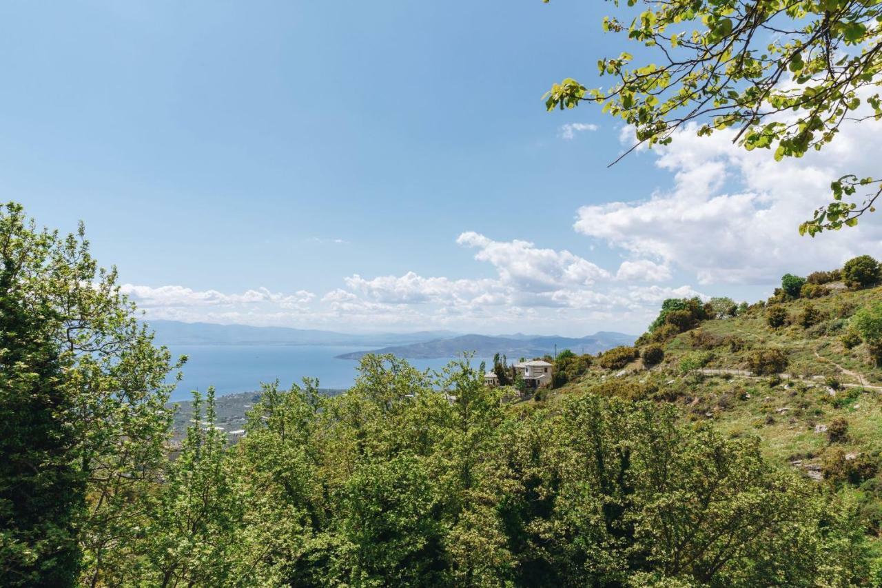 Pelion Homes Agios Georgios Nilias Zewnętrze zdjęcie